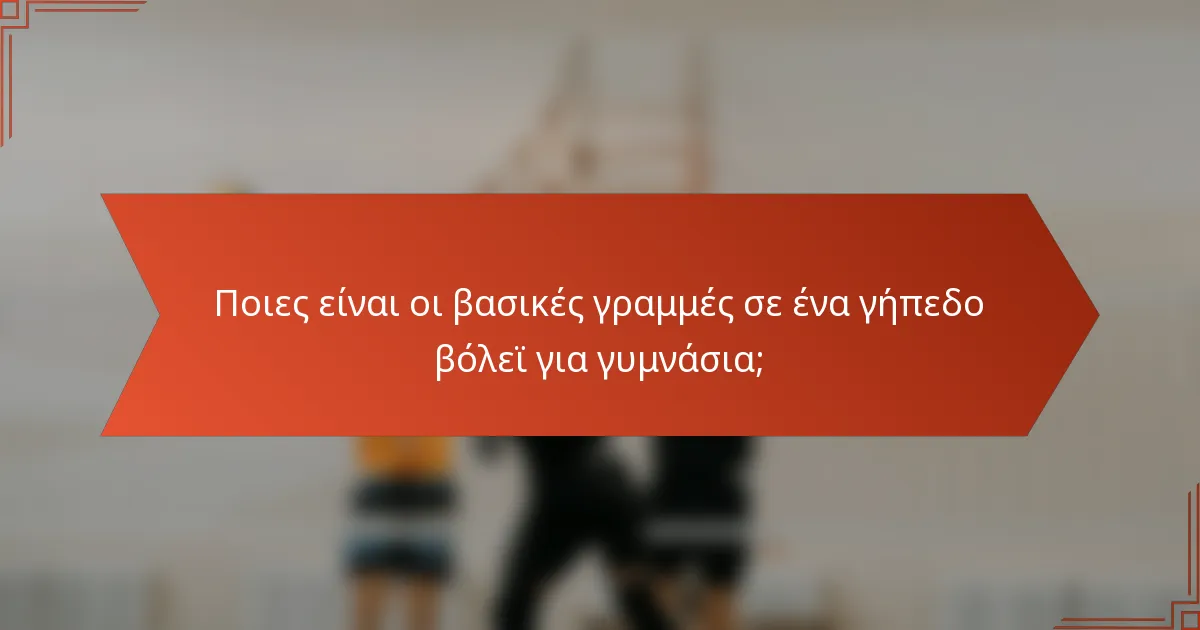 Ποιες είναι οι βασικές γραμμές σε ένα γήπεδο βόλεϊ για γυμνάσια;